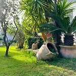 Villa Asia 别墅 维格兰德