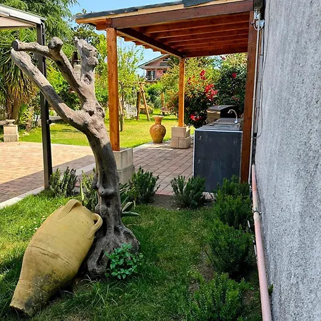 Villa Asia Villa